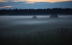 Весенняя поляна с туманом