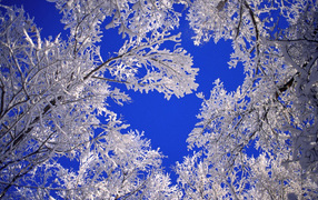 Начало весеннего утра