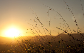 Восход весеннего солнца