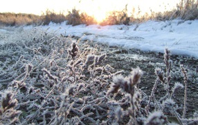 Прогулка по траве весной
