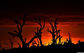 Теплая весенняя погода