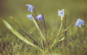 Красивая природа весной