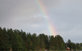 Радужное весеннее утро