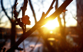 Закат солнца весной