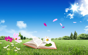 Book on a summer meadow