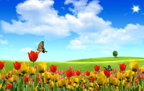 Бабочки на цветах в летний день