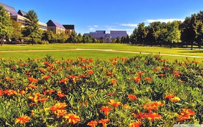 Город летом