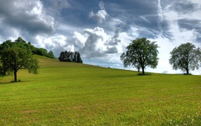 Зеленый холм летом