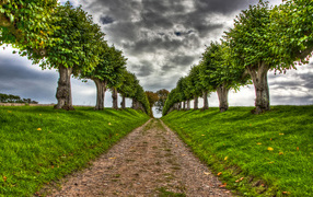 Зеленая летняя аллея