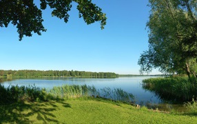 Деревенский летний пейзаж