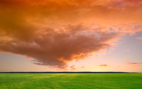 Летние облака над полем