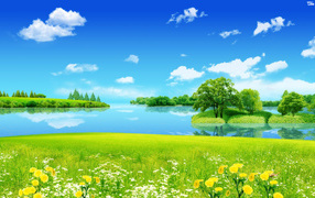 Летняя лужайка