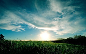 Закат над полем