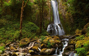 Водопад со скалы