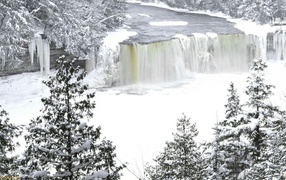 Замерзший водопад среди деревьев