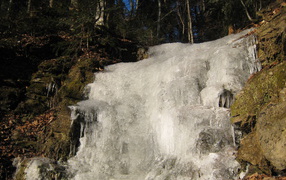 Frozen waterfall in the forest