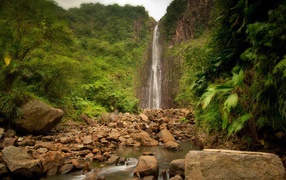 Джунгли вокруг водопада