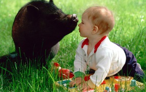 Ребенок и свинья