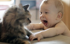 A child playing with a cat