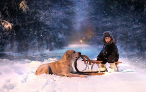 Собака и ребенок на санках
