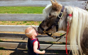 Ребенок целует лошадь