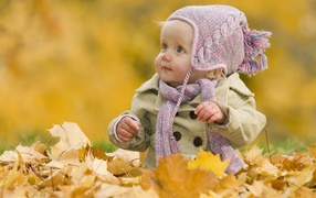 The child plays autumn leaves