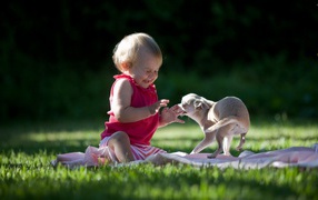 The child plays with dog