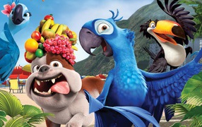 Собака и попугаи