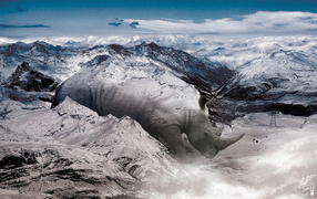 Носорог в горах