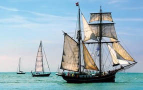 Плеяда парусников в море