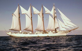 Попутный ветер в парусах