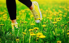 Jogging sneakers on a meadow