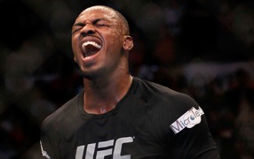 УФЦ  гордость Джон Джонс