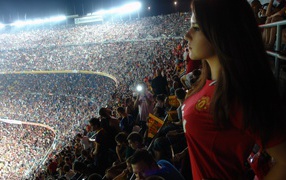 супер заполненный стадион