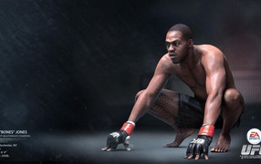 УФЦ  Боец Джон Джонс