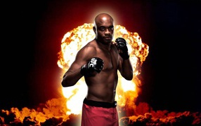 UFC Боец Андерсон Силва. Паук