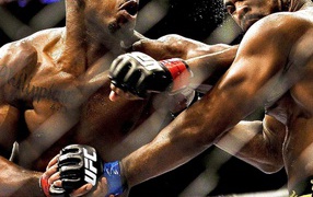 Истребитель УФЦ  Джон Джонс