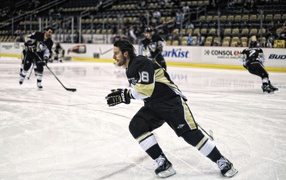 Famous Hockey player James Neal