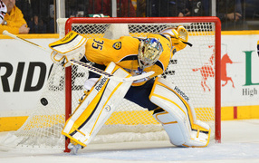 Известный Игрок Нэшвилля Пекка Ринне