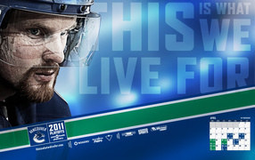 Хенрик Седин крупным планом