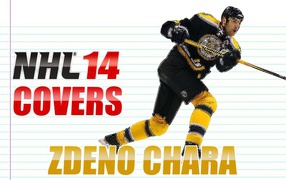 Hockey player Boston Zdeno Chara
