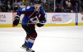 Популярный Хоккеист Габриэль Ландеског