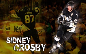 Sidney Crosby player number 87
