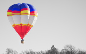 Воздушный шар над деревьями