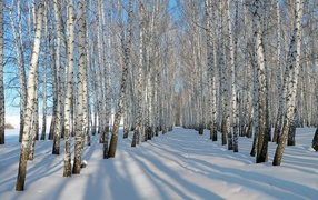 Russian snowy winter