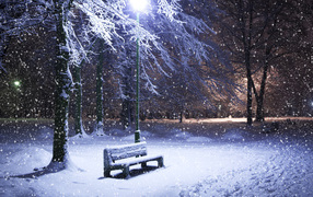 Снег в Москве в парке