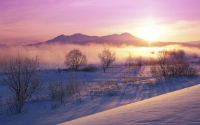 Снежная долина