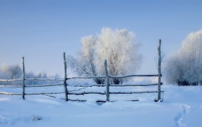 Заснеженный забор