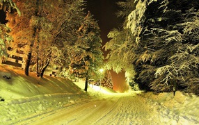 The road in the snow-covered forest