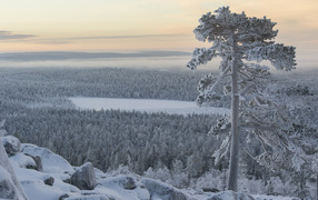 Вид на зимнее озеро